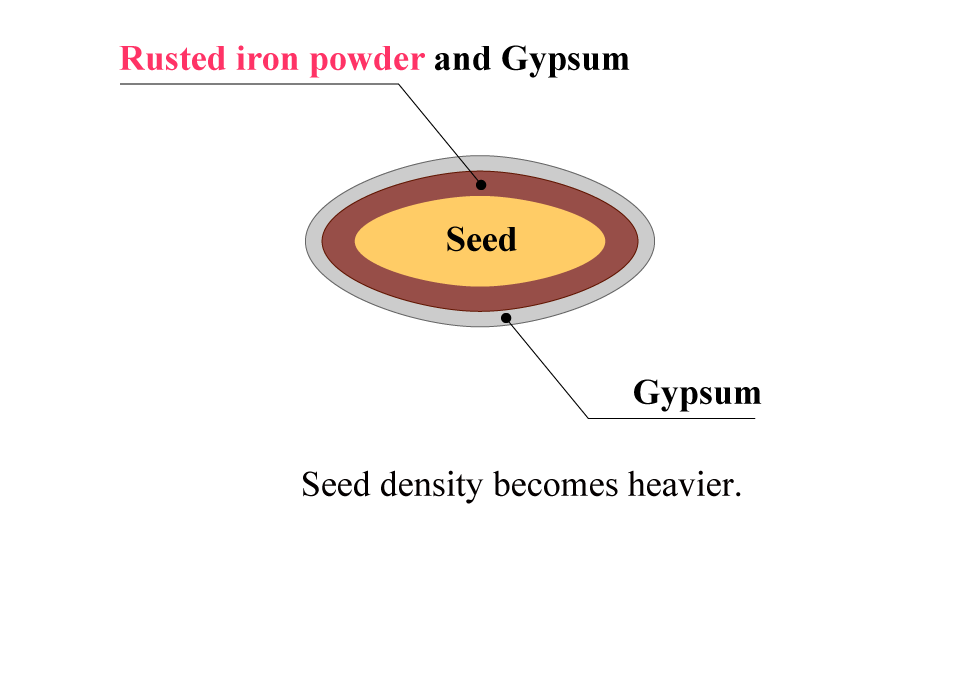 Cross sectional image of iron-coated seed