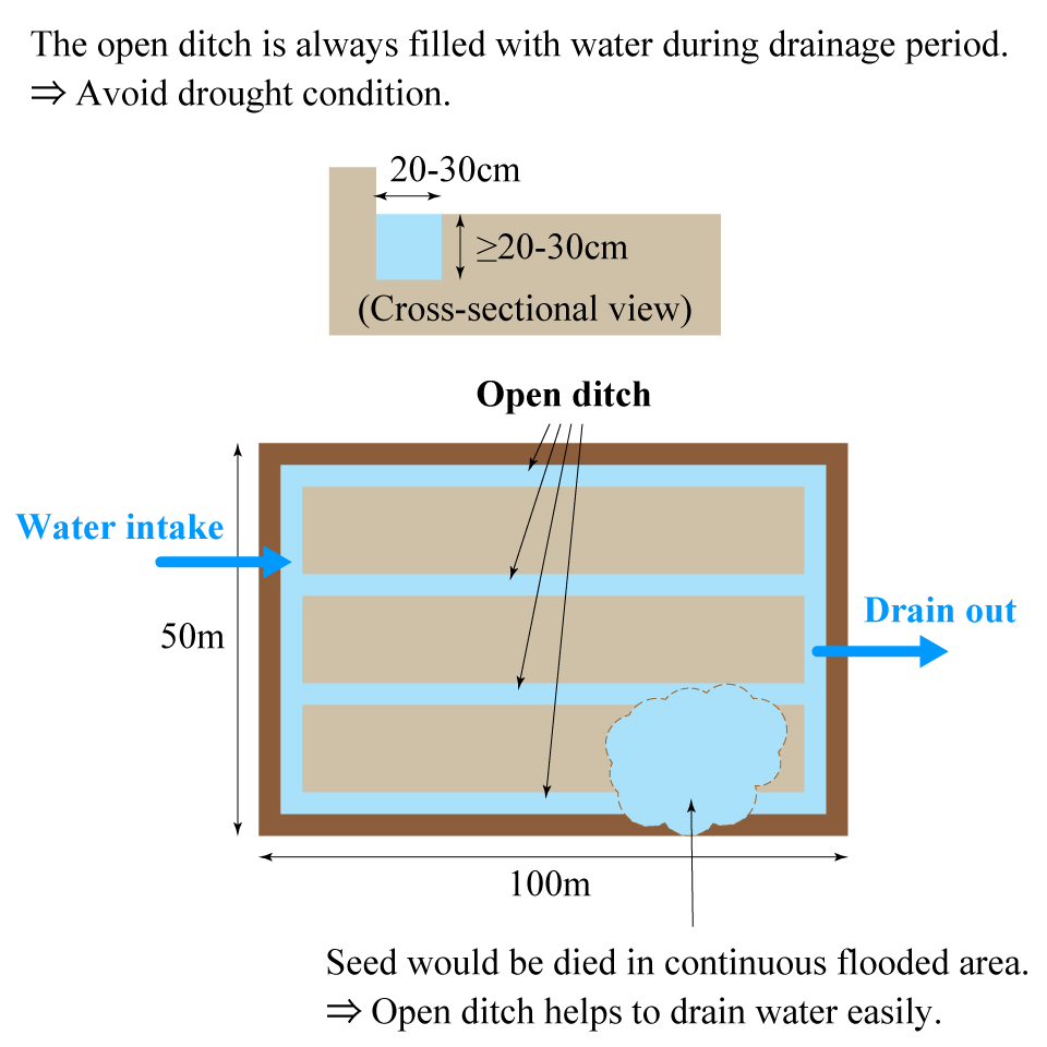 Install open ditch for better water control