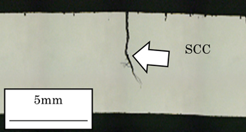 Figure 1: Example of stress corrosion cracking that occurred during test