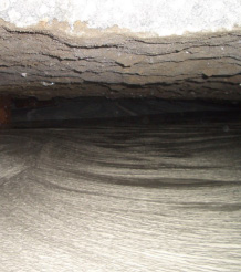 基礎床と地面の間の空洞