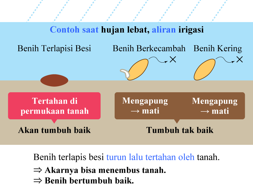 Manfaat Sifat Jangkar Benih Terlapisi Besi