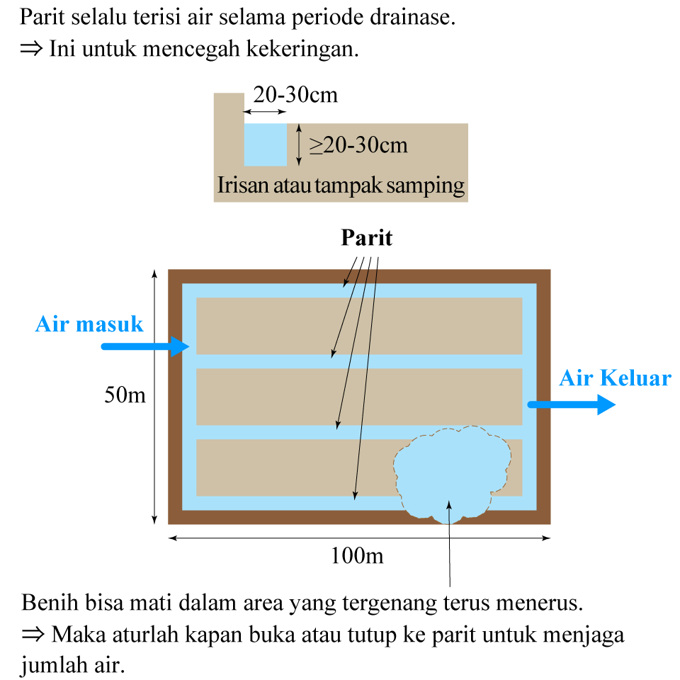 Buat parit untuk mengatur air lebih baik.