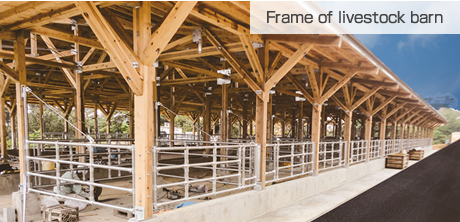 Frame of livestock barn
