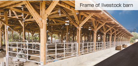 Frame of livestock barn Frame of livestock barn