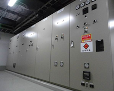 Electric distributor panel