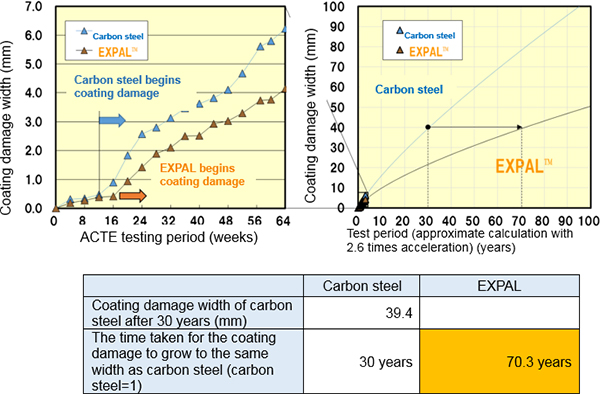 Figure 2 Estimated long-term coating damage of C-5 Paint System coated film due to corrosion