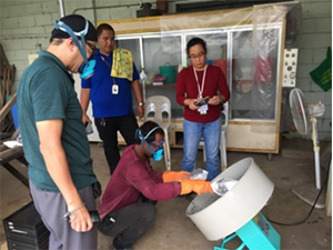 Production of iron-coated seeds at IRRI. Coating work with hands for small farmers (left) and with machine for mechanized farmers (right).