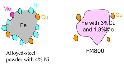 FM800 Particle Structure