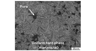 FM800 Microstructure after Sintering