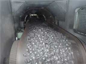 Fig. 3: Appearance of briquette on conveyor