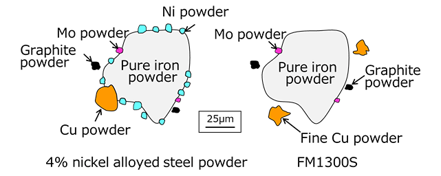 FIG. 2: FM1300S Particle Structure