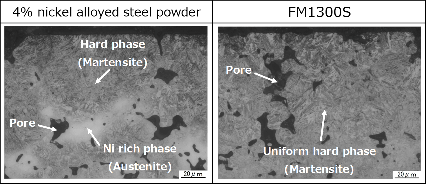 FIG. 3: FM1300S Microstructure