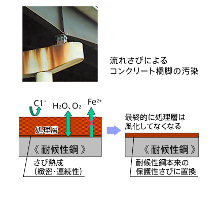 カプテンコート®