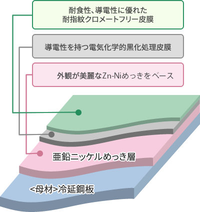 皮膜構造