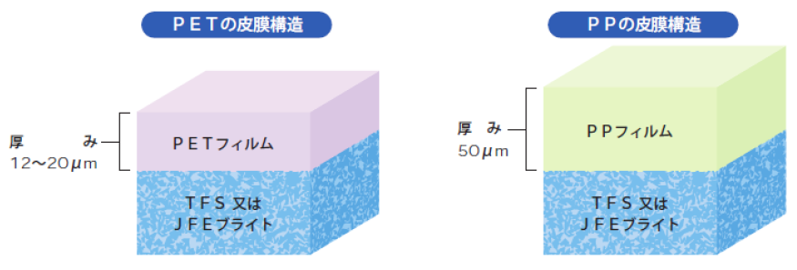 皮膜構造