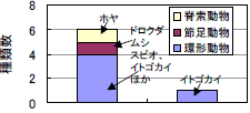 種類数