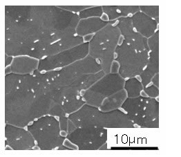 【写真】『スーパーホット<sup>®</sup> -G』のミクロ組織（球状化焼鈍後）