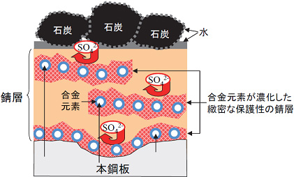 本鋼板の防食メカニズム