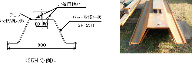 【図1】ビートルパイル構造 【写真1】ビートルパイル