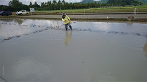 写真3　圃場試験の様子（Water seeding）