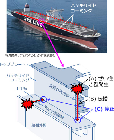 【図1】本発明の適用部位