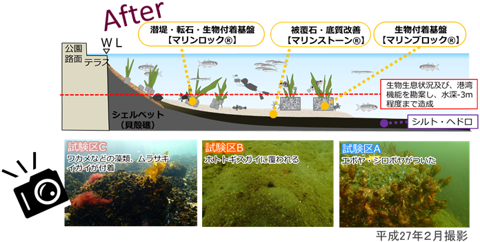 共同研究の成果 After