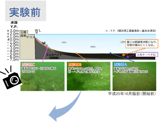 共同研究の成果 実験前