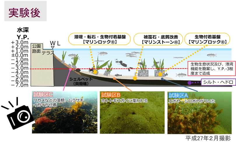 共同研究の成果 実験後