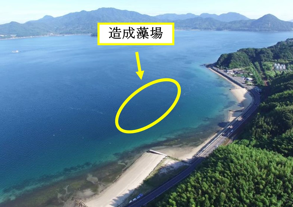 山口県岩国市神東地先の造成藻場