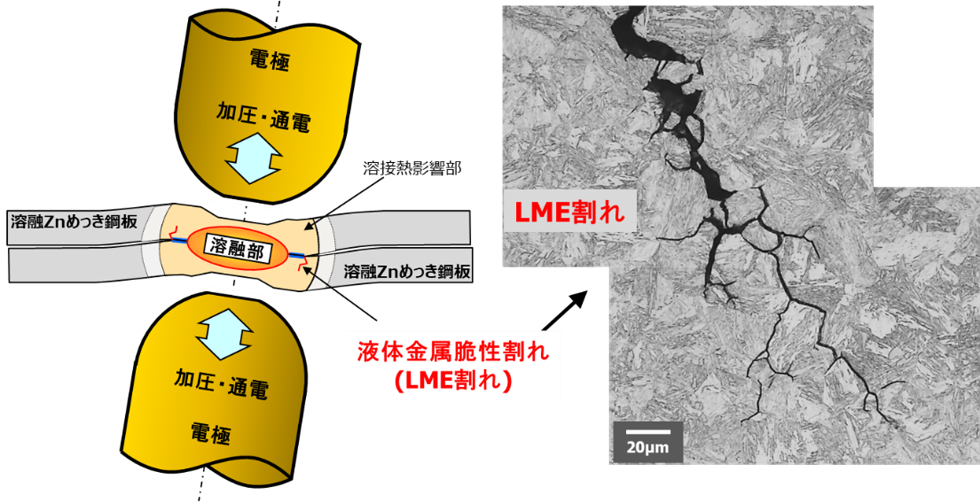 【図1】抵抗スポット溶接部に発生したLME割れ