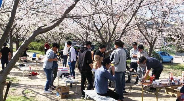 花見イベント